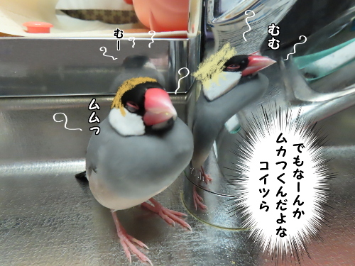 三者会談14-ムカつく