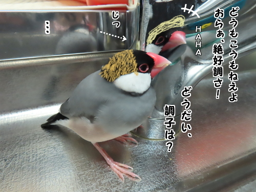 三者会談2-プーチョン探りを入れる