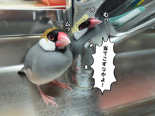 三者会談4-お互いムッ