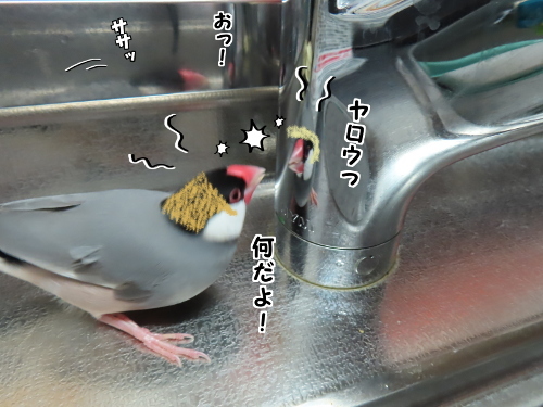 三者会談5-一種即発