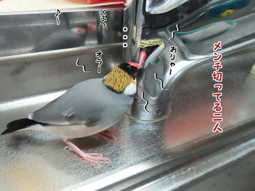 三者会談6-メンチ切ってる二人