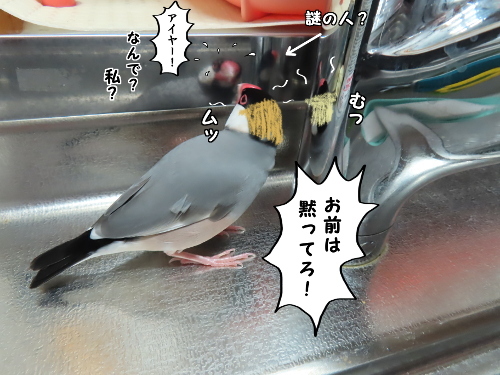 三者会談8-黙ってろ!