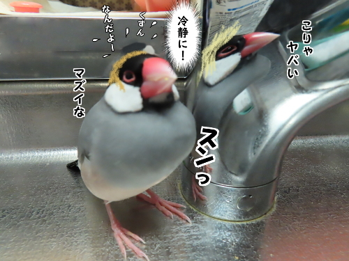 三者会談9-冷静に