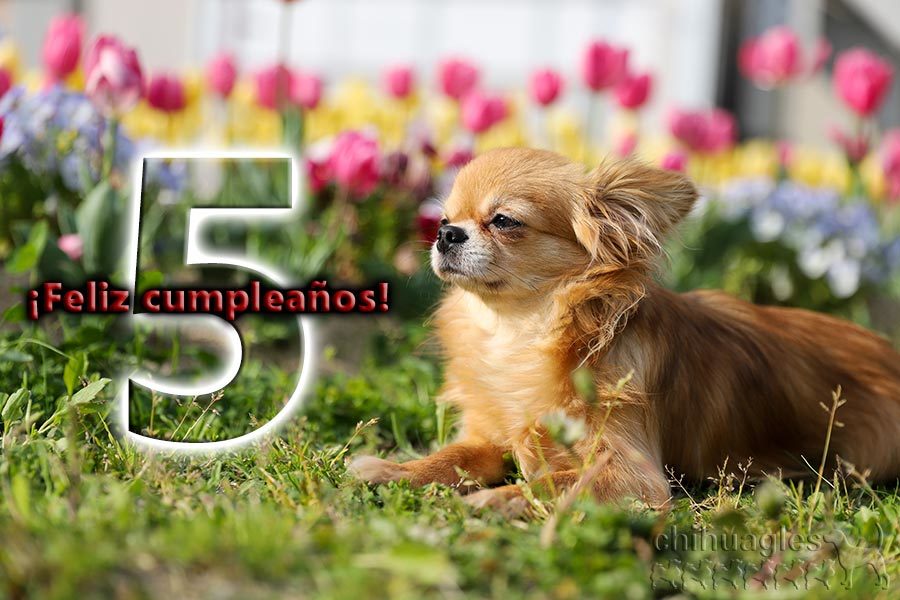 これまでのままこれからも