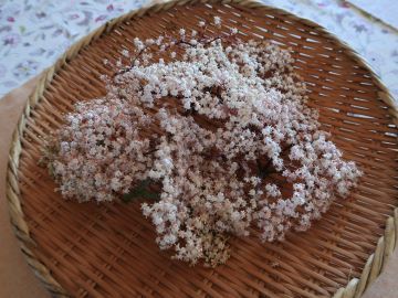 IMG_2285 - コピー