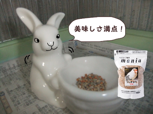 突撃チョミコのご飯9-マニア食べてるよ