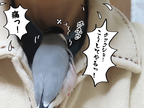 のど仏さま9-チネっ