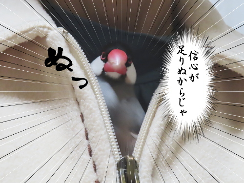 のど仏さま1-信心が足らん