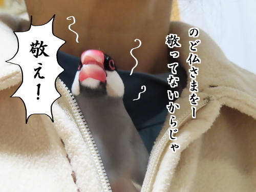 のど仏さま6-敬え!