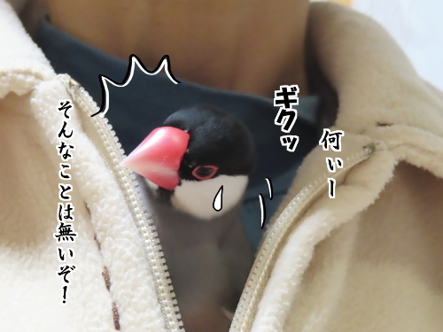 のど仏さま7-そんなことないぞ