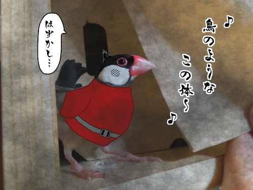 妖怪人間チョロ4-鳥のようなこの体