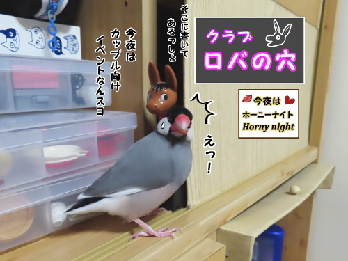 出入り禁止です-5-今夜はカップル向け