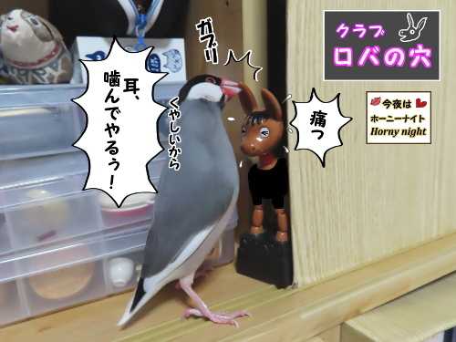 出入り禁止です-9-耳噛んでやる