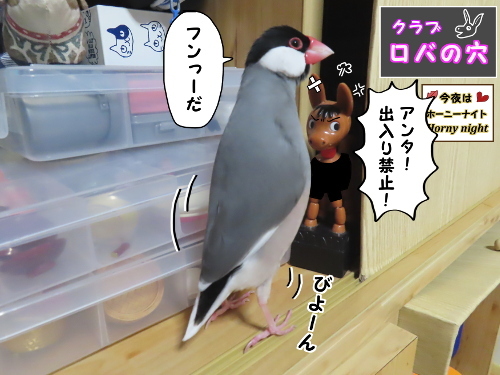 出入り禁止です-10-出入り禁止