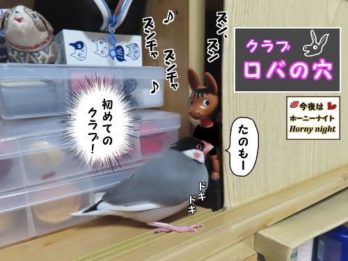 出入り禁止です-1-初めてのクラブ