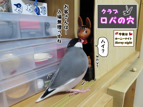 出入り禁止です-4-入場は無理よ