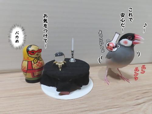 占い師ベドニャコワ11-これで安心