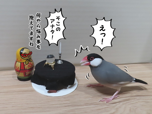 占い師ベドニャコワ1-悩み事あるね!