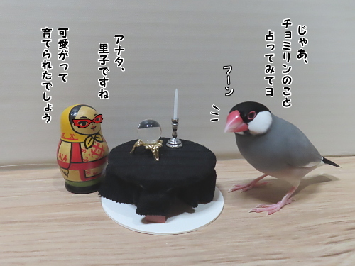 占い師ベドニャコワ3-里子でしょ