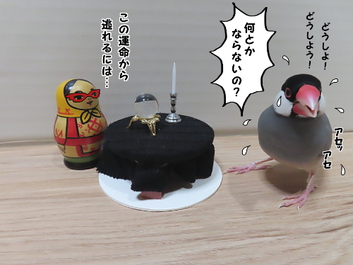 占い師ベドニャコワ8-逃れる方法が