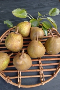 IMG_20230902_193950_(400_x_600_ピクセル)