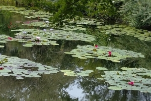 IMG_20230927_073917_(600_x_400_ピクセル)