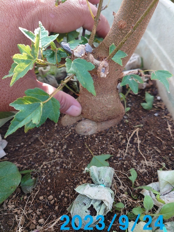 02プランター (4)