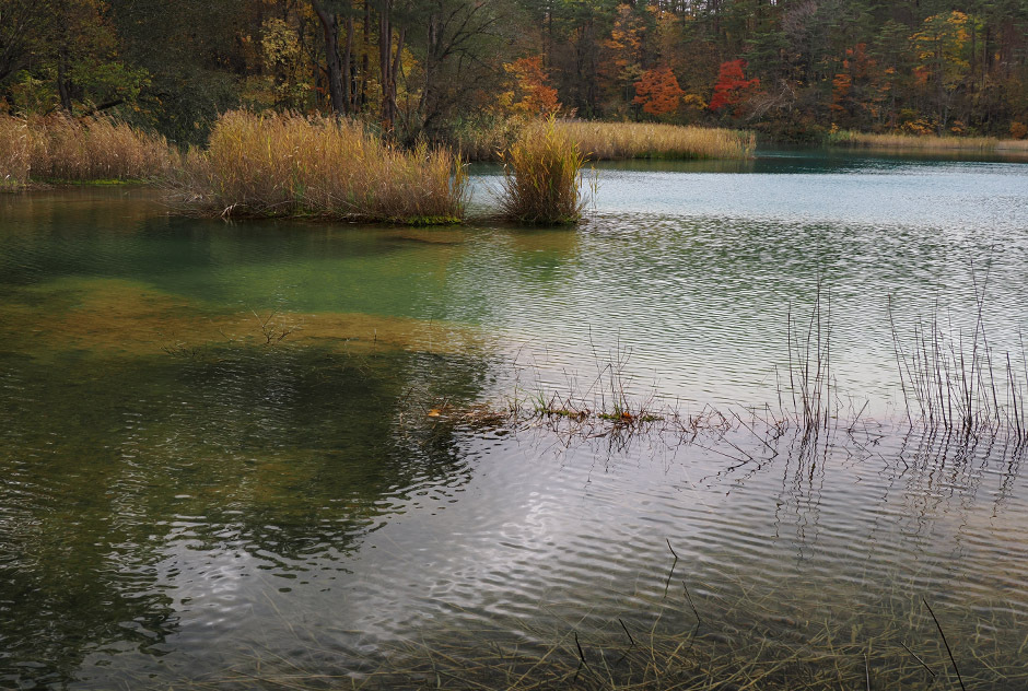 251103-30347 弁天沼 940×632