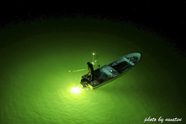 シラスウナギ漁(4)