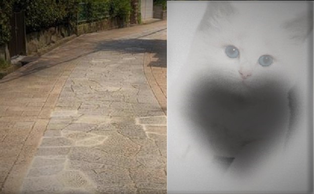 17120b024cf93587e30ea12e61d25e22_t (1)