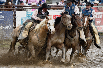 blog (6x4@300) Yoko 15D850 SaddleB 3, Gregory Koehler (NS