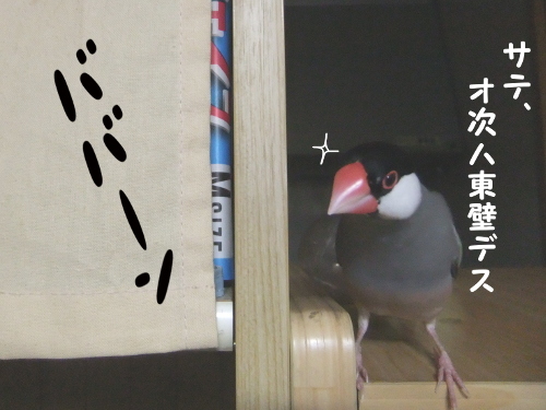 クライミング10-次は東壁