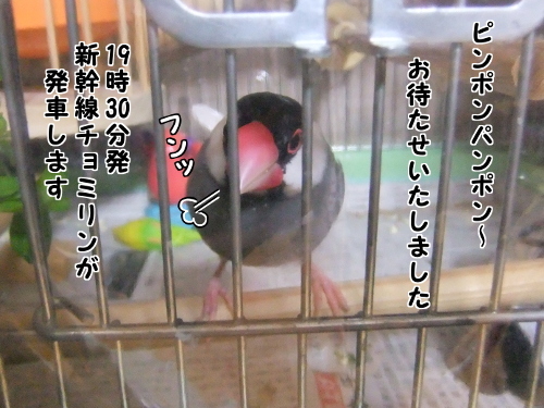 電車だゴー1-ピンポンパンポン