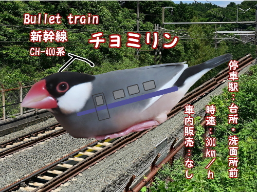 電車だゴー3-新幹線チョミリン