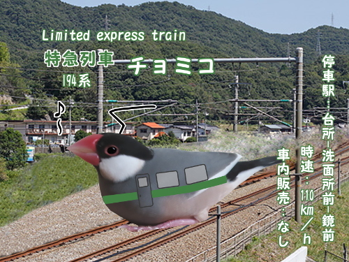 電車だゴー5-特急チョミコ