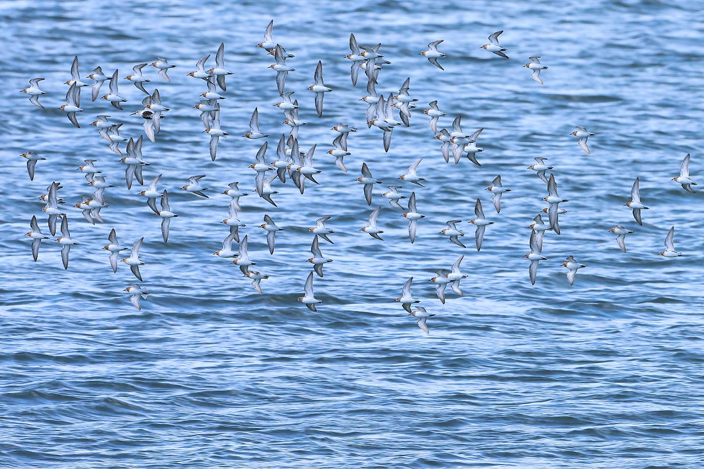 t_トウネン20240508_02