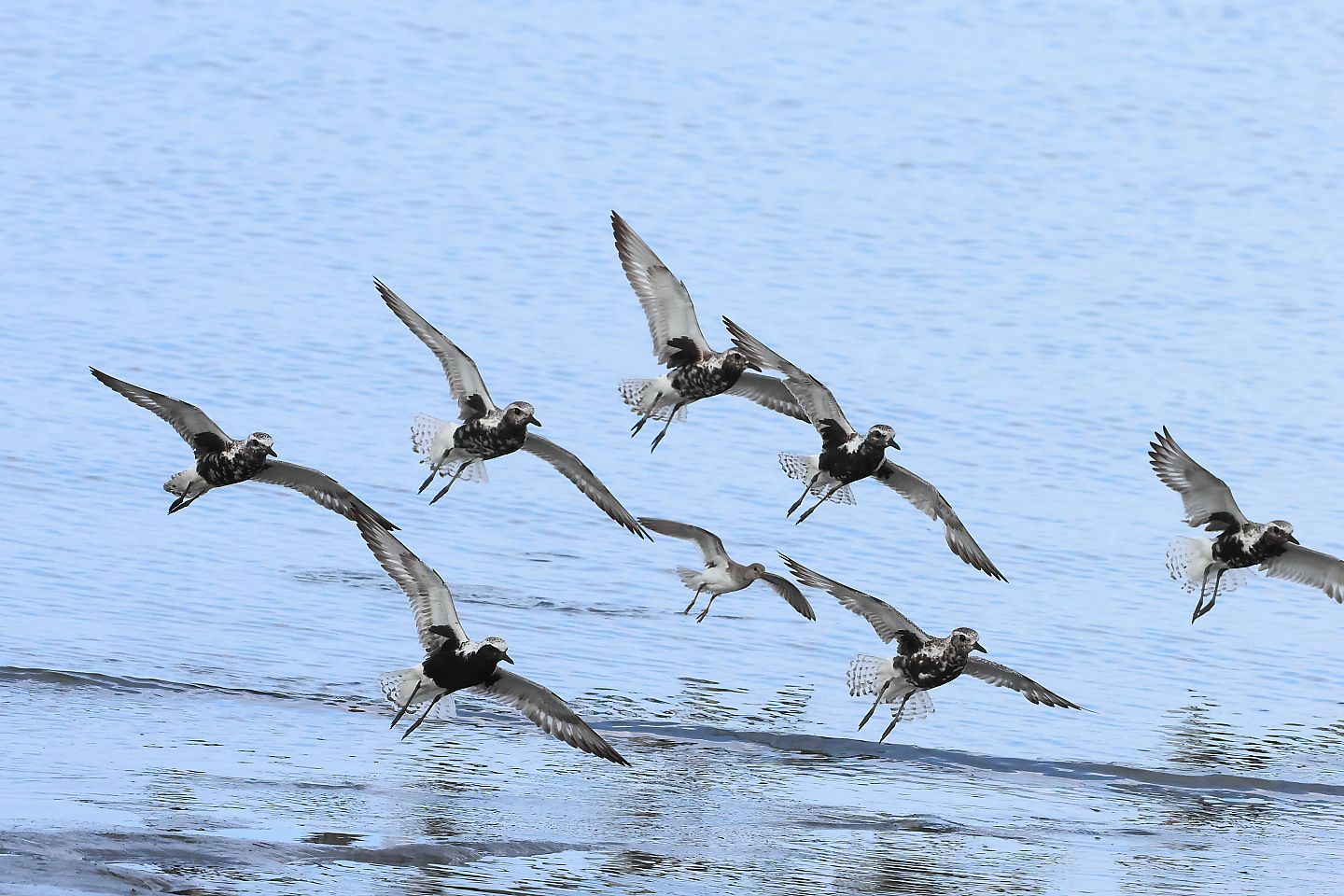 t_ダイゼン20240818_01