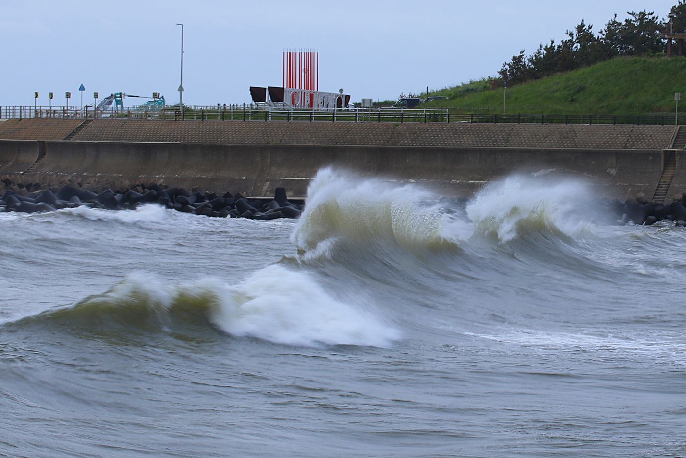●STAP2018・6・9大堰山_519