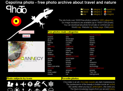 Free Photo - Cepolina Photos