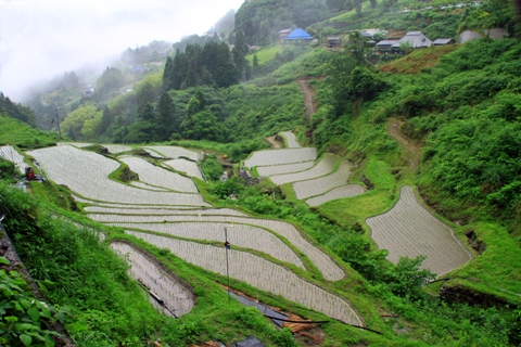 下影の棚田