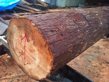 丸太の反ってる方向