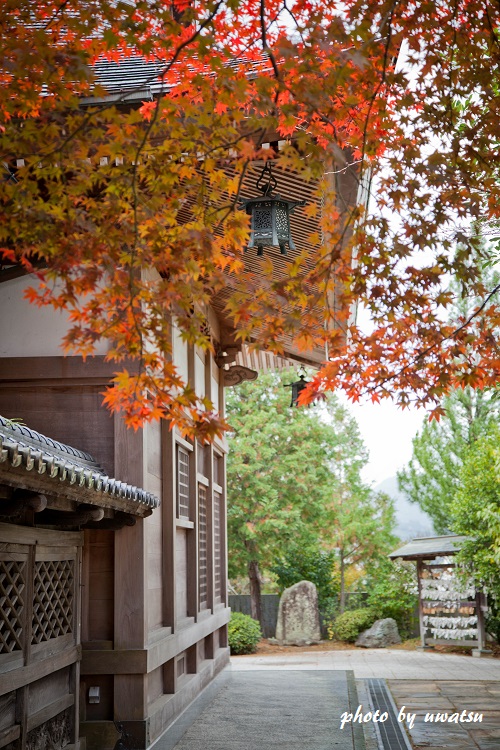 宇和津彦神社 (2)