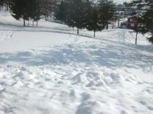 かりんと遊ぼっ♪