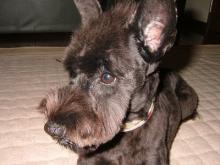 かりんと遊ぼっ♪