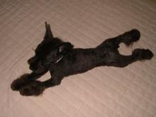 かりんと遊ぼっ♪