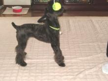 かりんと遊ぼっ♪