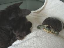 かりんと遊ぼっ♪