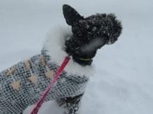 かりんと遊ぼっ♪