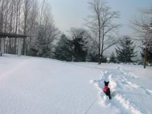 かりんと遊ぼっ♪