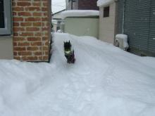 かりんと遊ぼっ♪